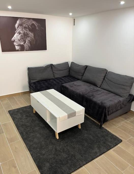 Logement Neuf A 25Mn Disneyland Et Paris Est Thorigny-sur-Marne Dış mekan fotoğraf